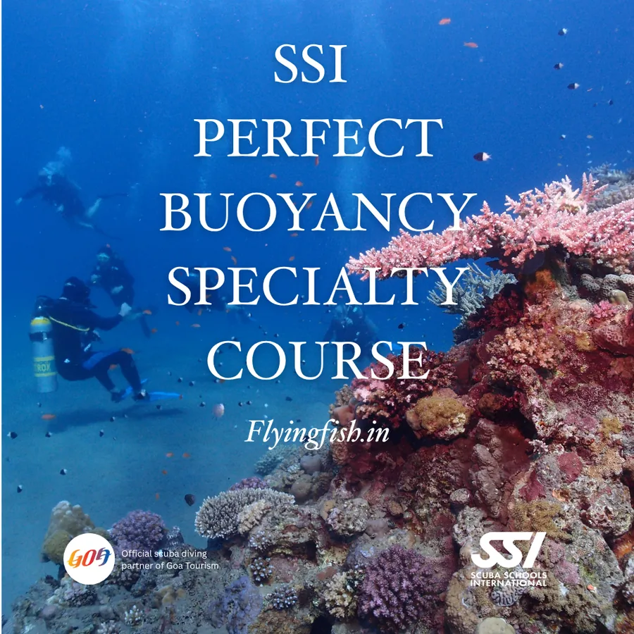 SSI Try Freediving - Pool Discovery + Ocean