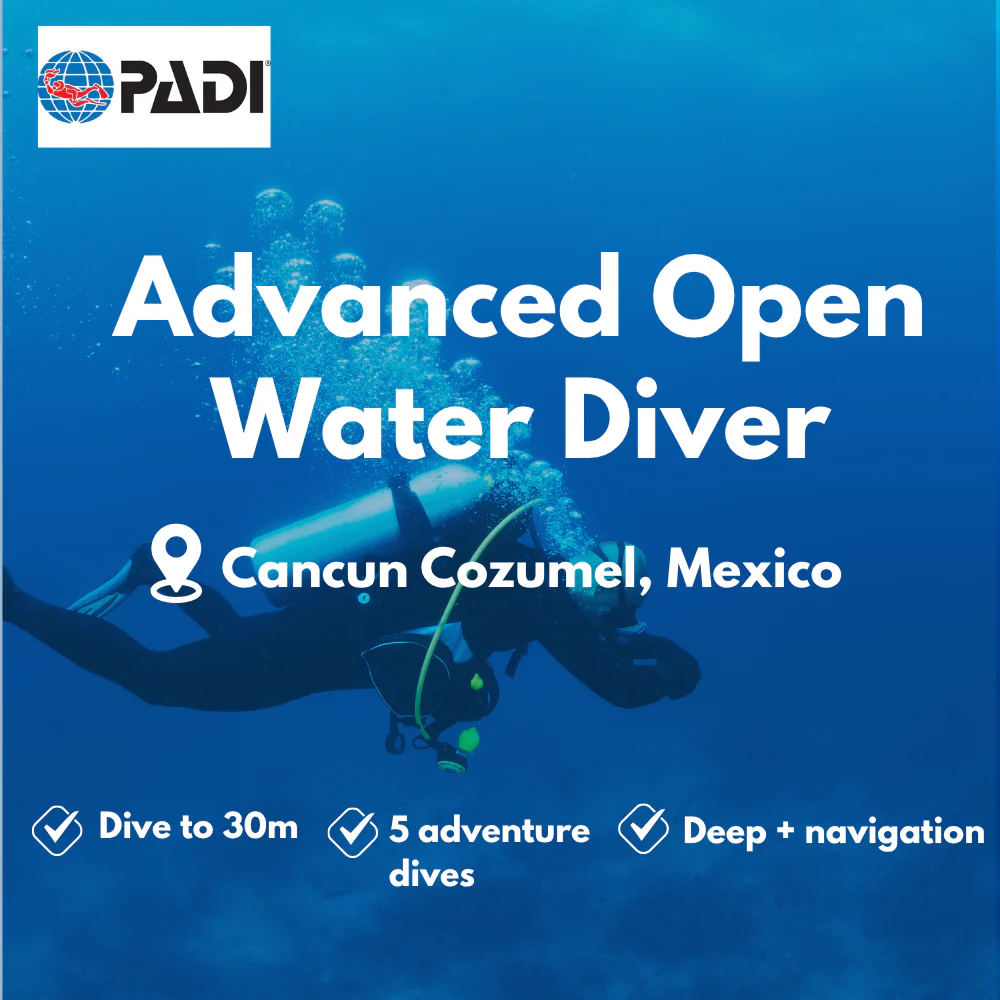 PADI Advanced Open Water course in Cancun Cozumel