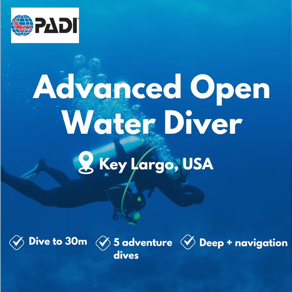 PADI Advanced Open Water course in Key Largo