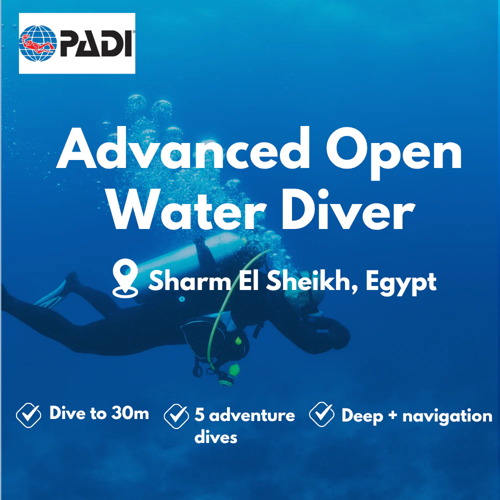 PADI Advanced Open Water course in Sharm El Sheikh