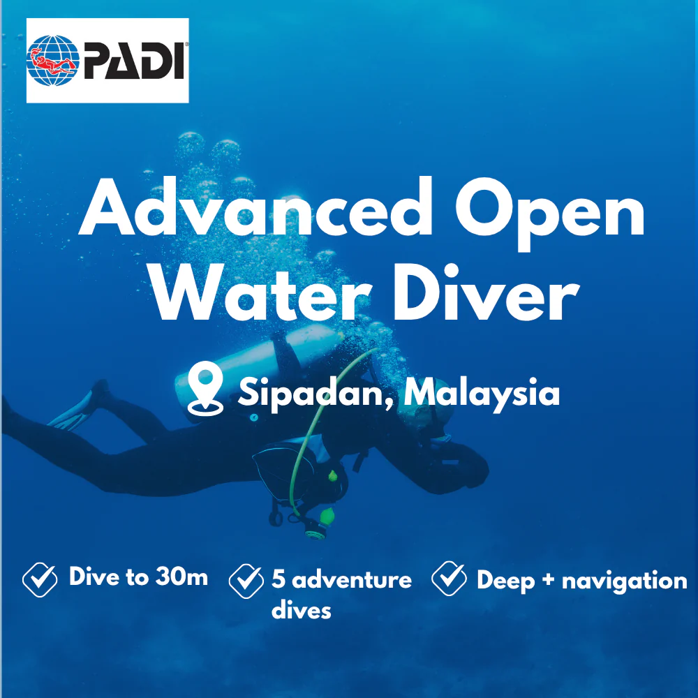 PADI Advanced Open Water course in Sipadan