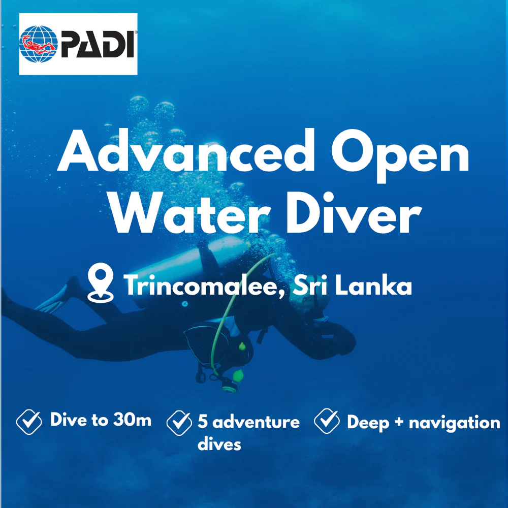 PADI Advanced Open Water course in Trincomalee