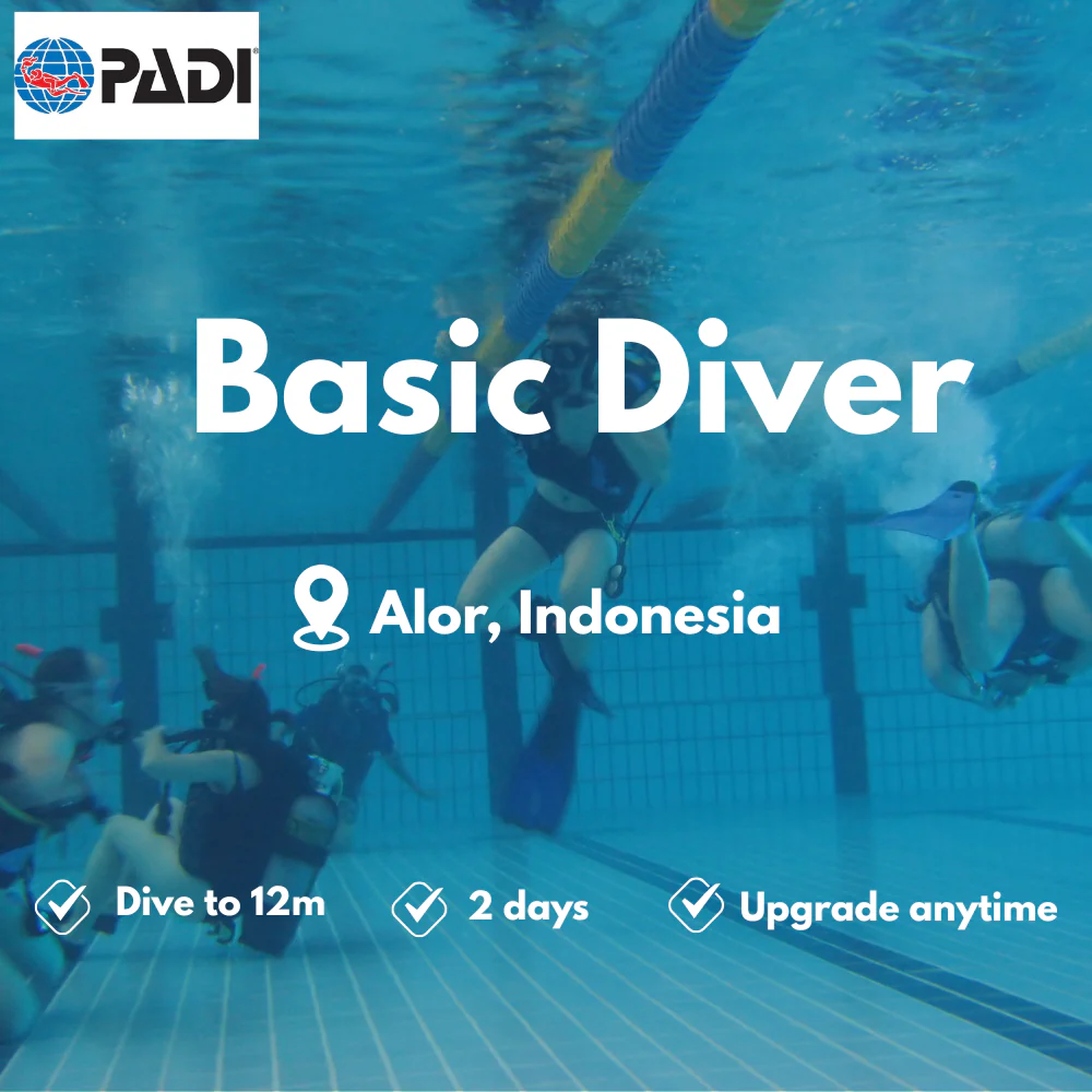 PADI Basic Diver course in Alor