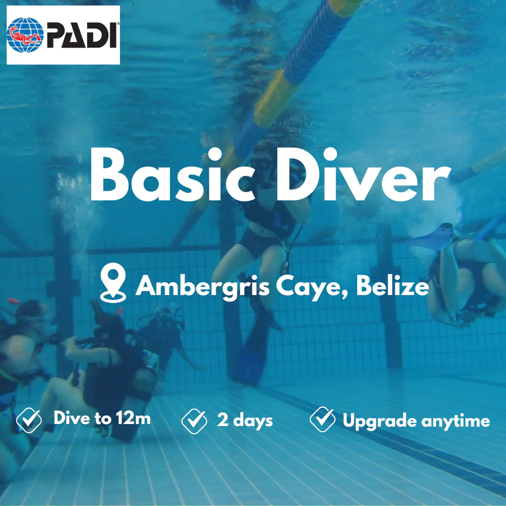 PADI Basic Diver course in Ambergris Caye