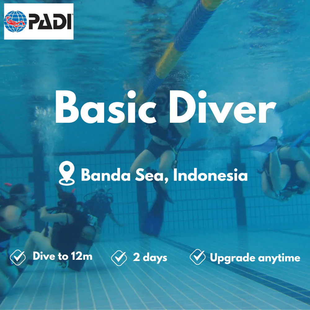 PADI Basic Diver course in Banda Sea