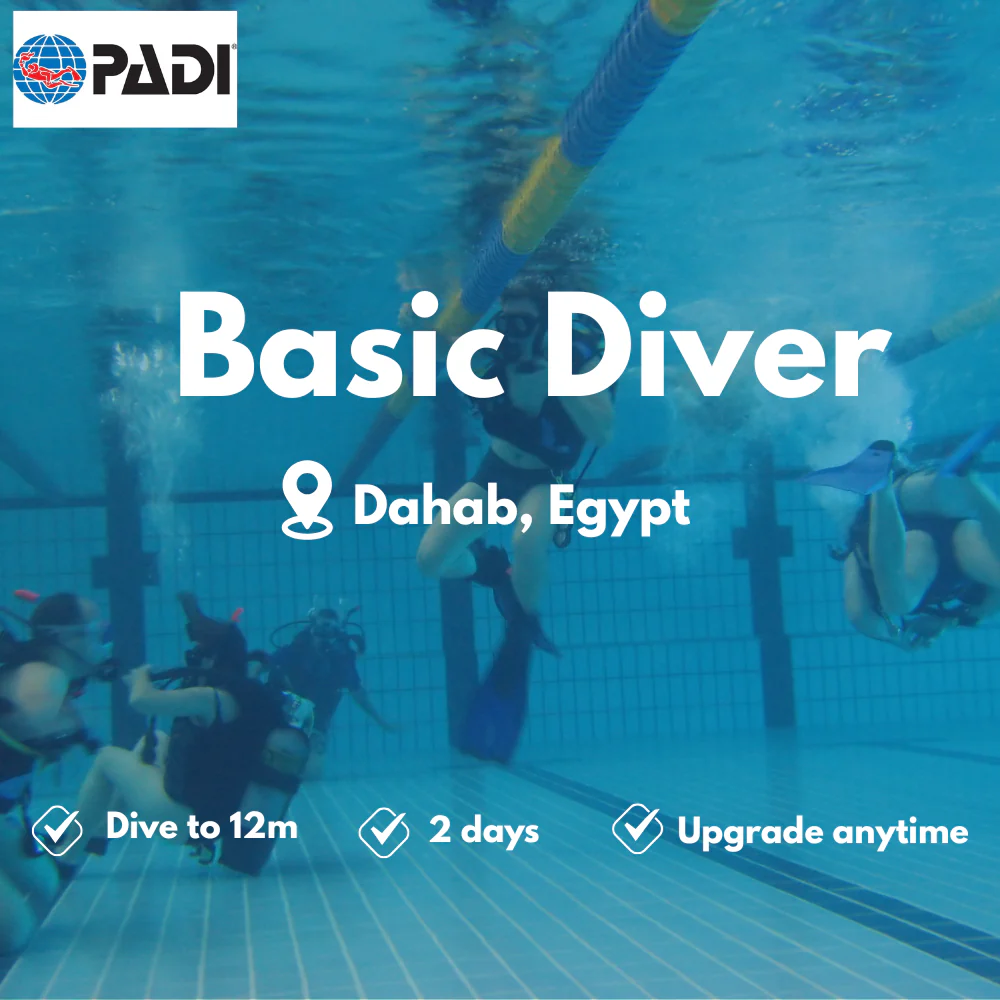 PADI Basic Diver course in Dahab