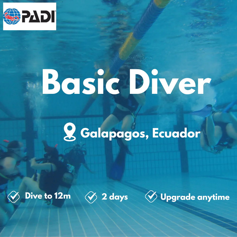 PADI Basic Diver course in Galapagos