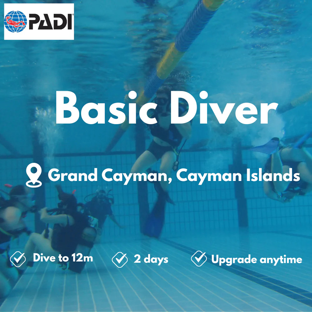 PADI Basic Diver course in Grand Cayman