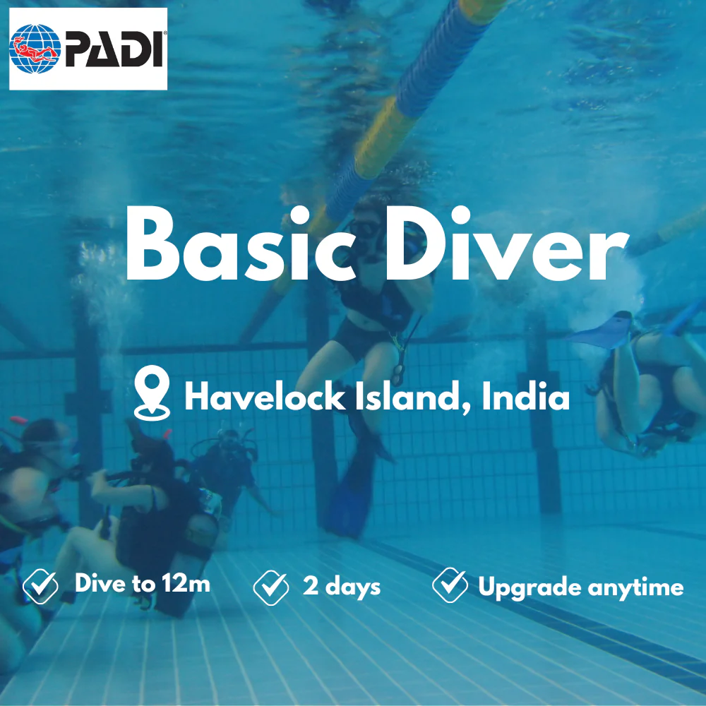 PADI Basic Diver course in Havelock Island