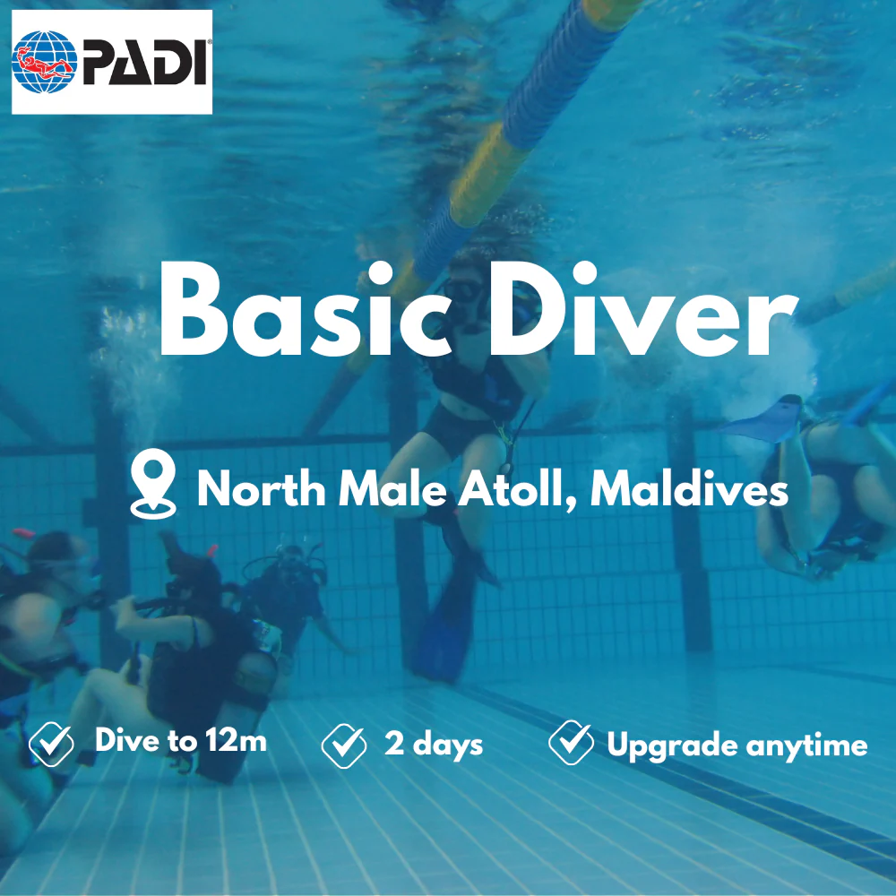 PADI Basic Diver course in North Male Atoll