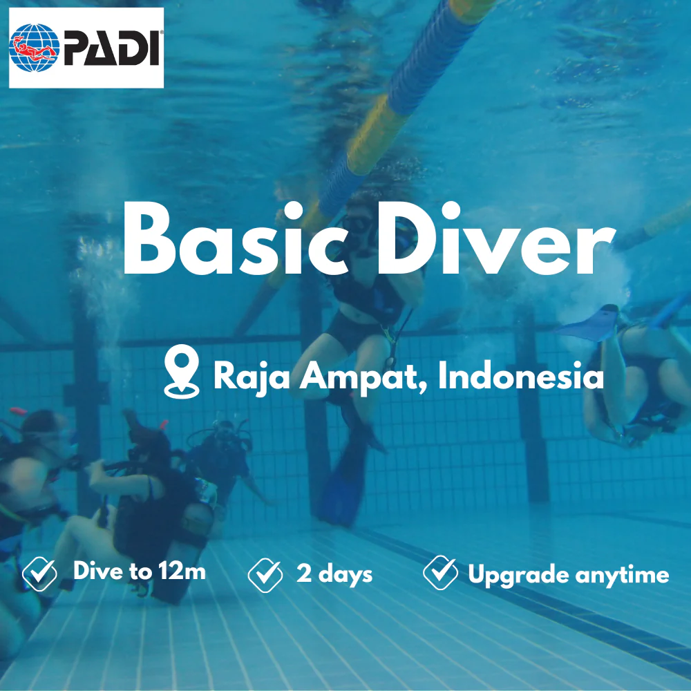 PADI Basic Diver course in Raja Ampat