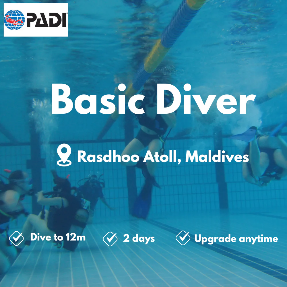PADI Basic Diver course in Rasdhoo Atoll