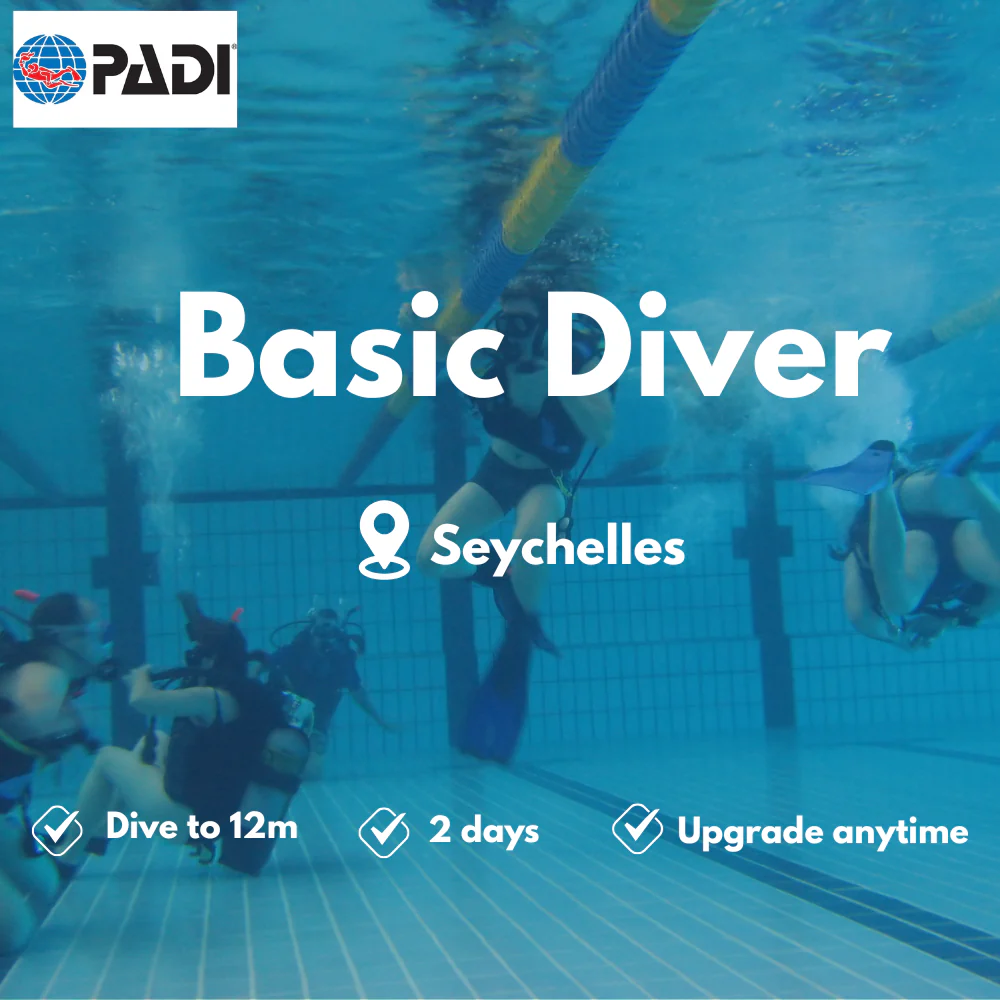 PADI Basic Diver course in Seychelles