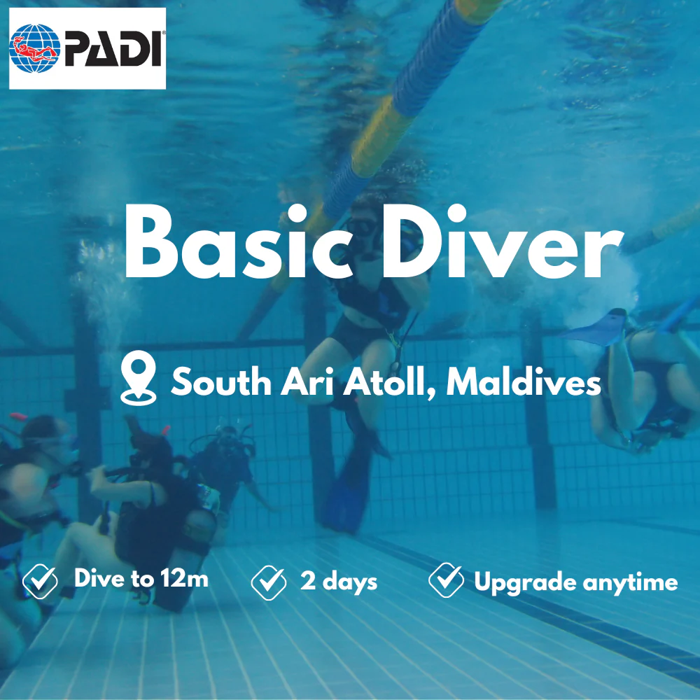 PADI Basic Diver course in South Ari Atoll