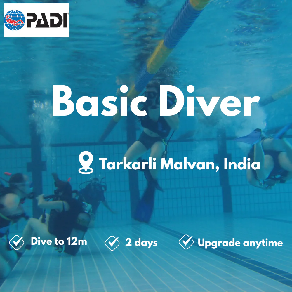 PADI Basic Diver course in Tarkarli Malvan