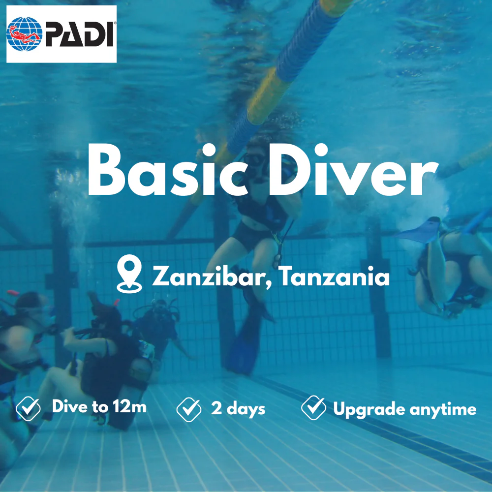 PADI Basic Diver course in Zanzibar