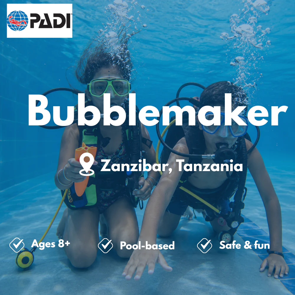 PADI Bubblemaker & Kids course in Zanzibar
