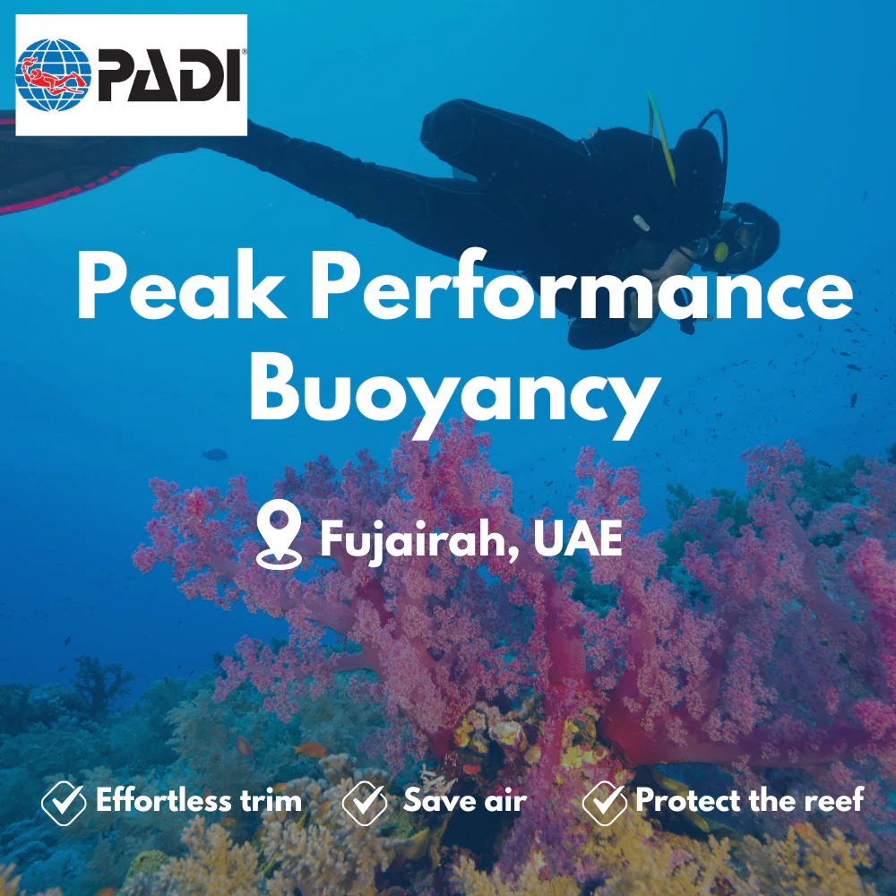 PADI Peak Performance Buoyancy course in Fujairah