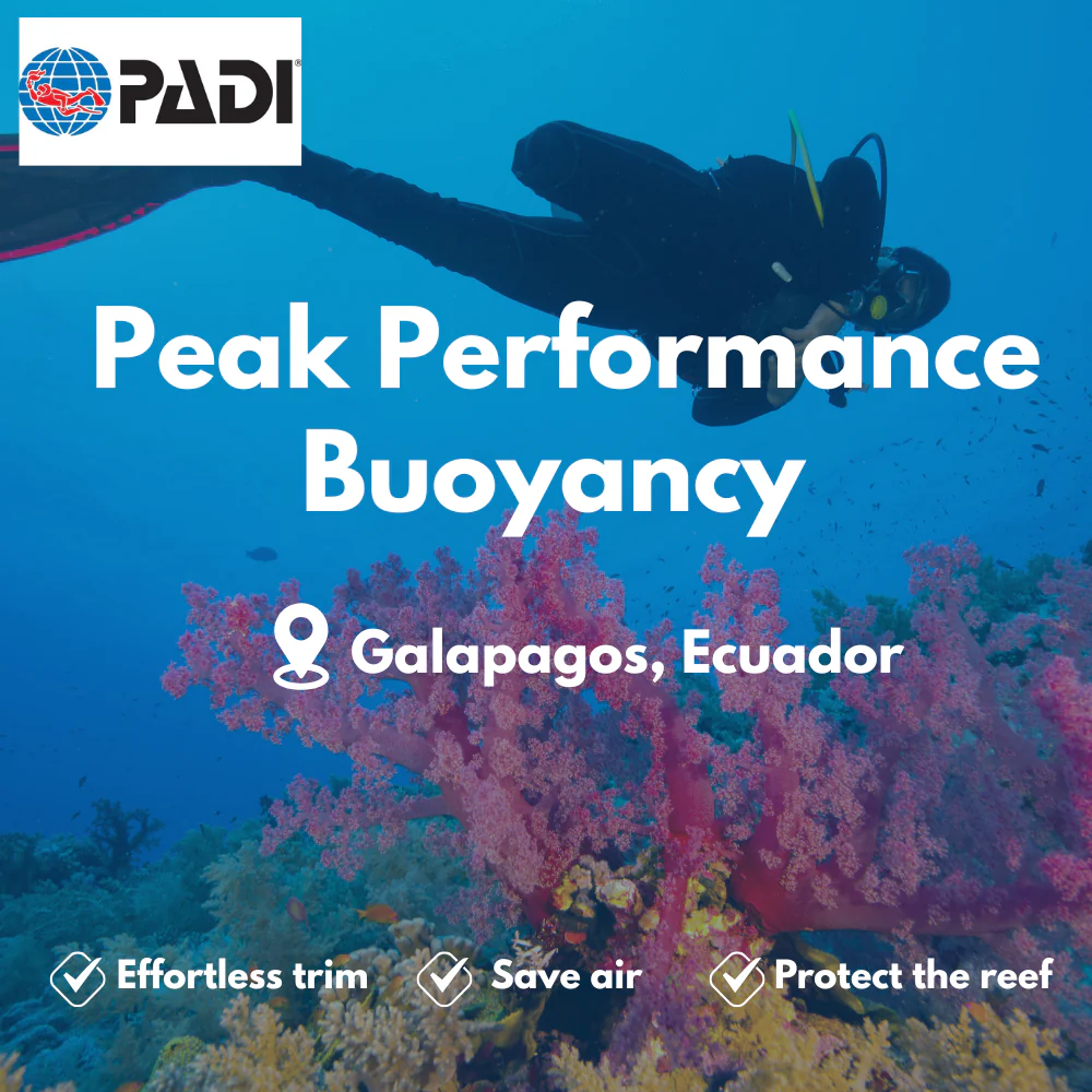 PADI Peak Performance Buoyancy course in Galapagos