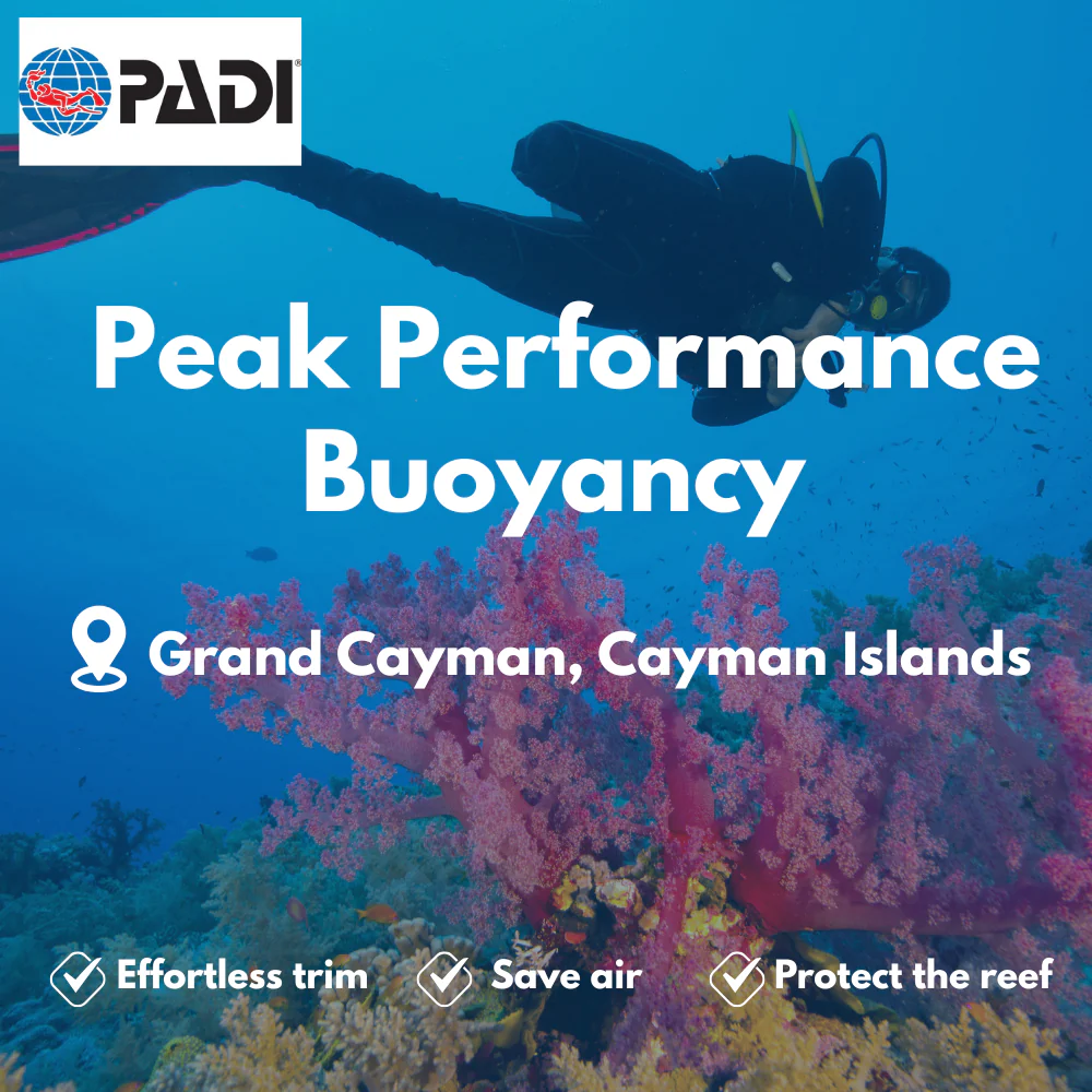 PADI Peak Performance Buoyancy course in Grand Cayman