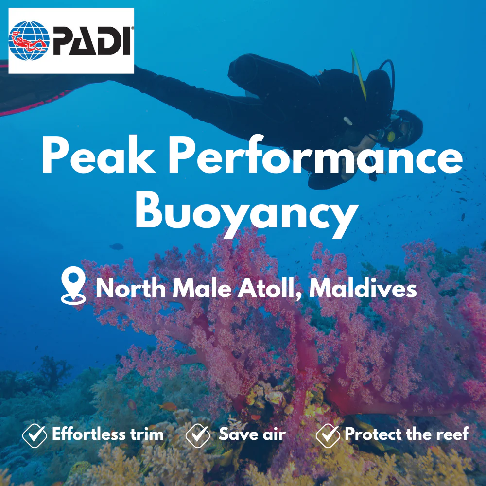PADI Peak Performance Buoyancy course in North Male Atoll