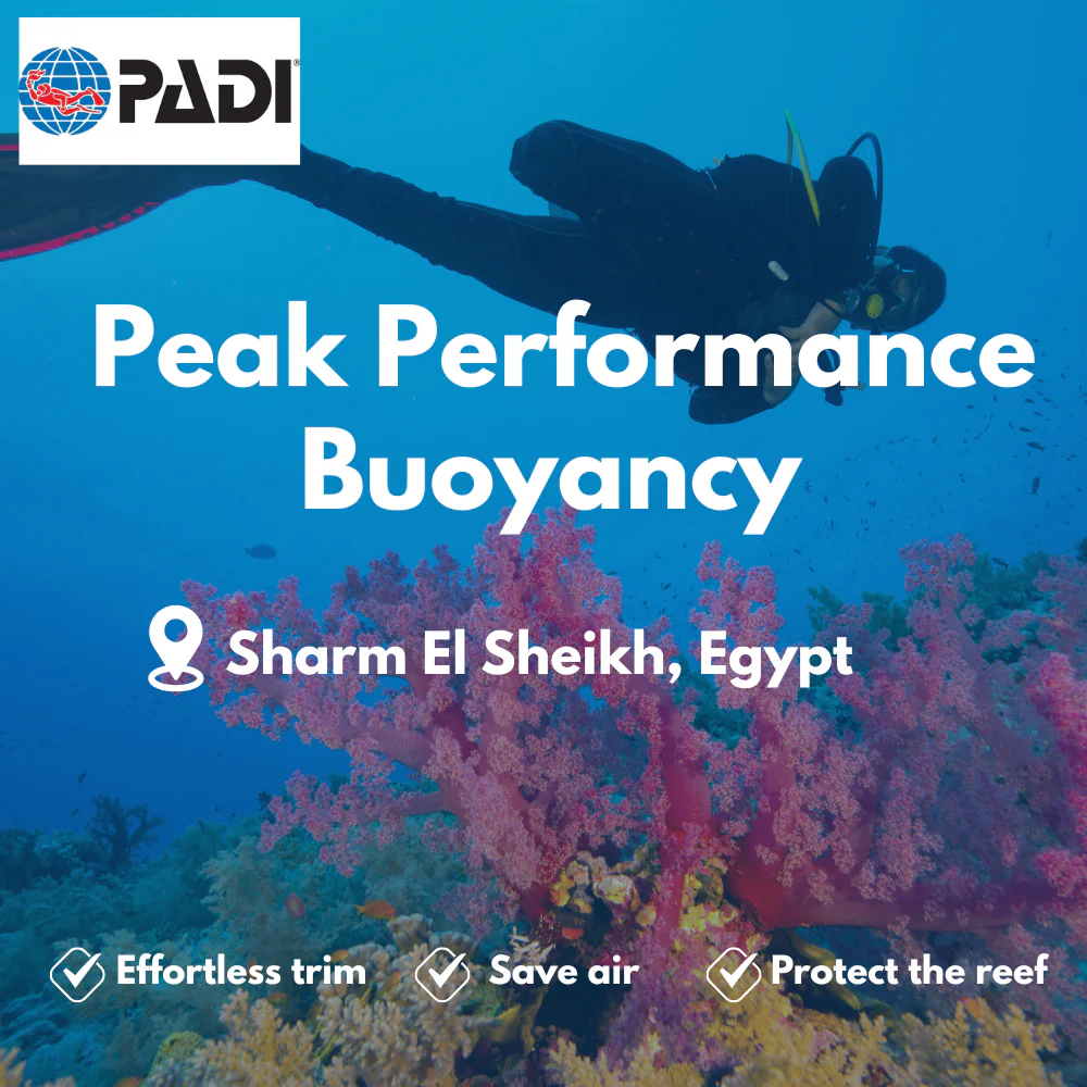 PADI Peak Performance Buoyancy course in Sharm El Sheikh