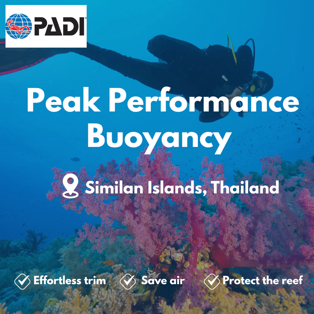 PADI Peak Performance Buoyancy course in Similan Islands