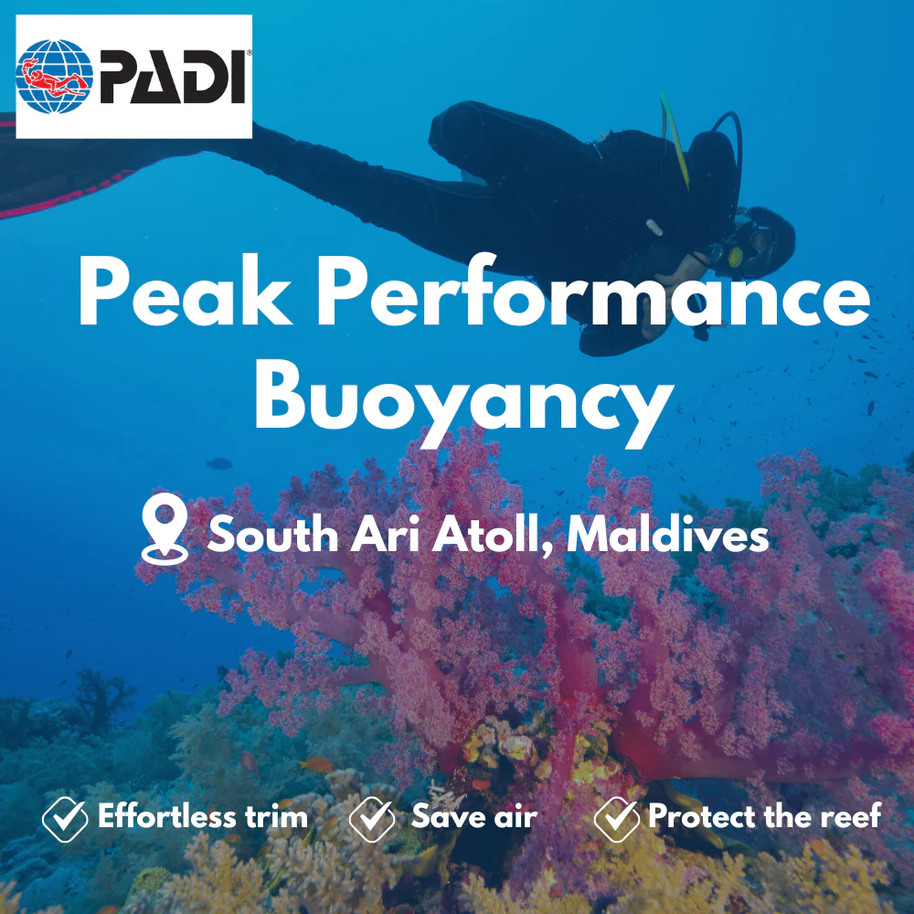 PADI Peak Performance Buoyancy course in South Ari Atoll