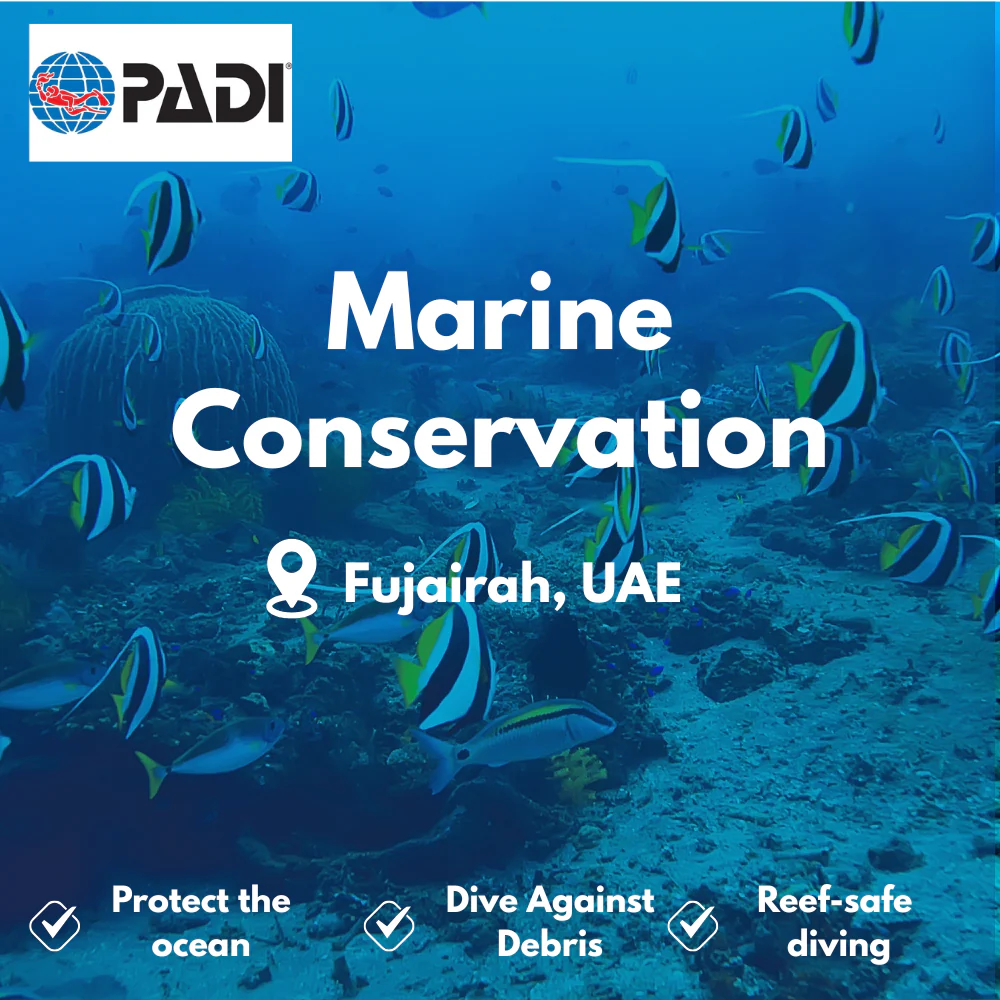 PADI Conservation & AWARE course in Fujairah