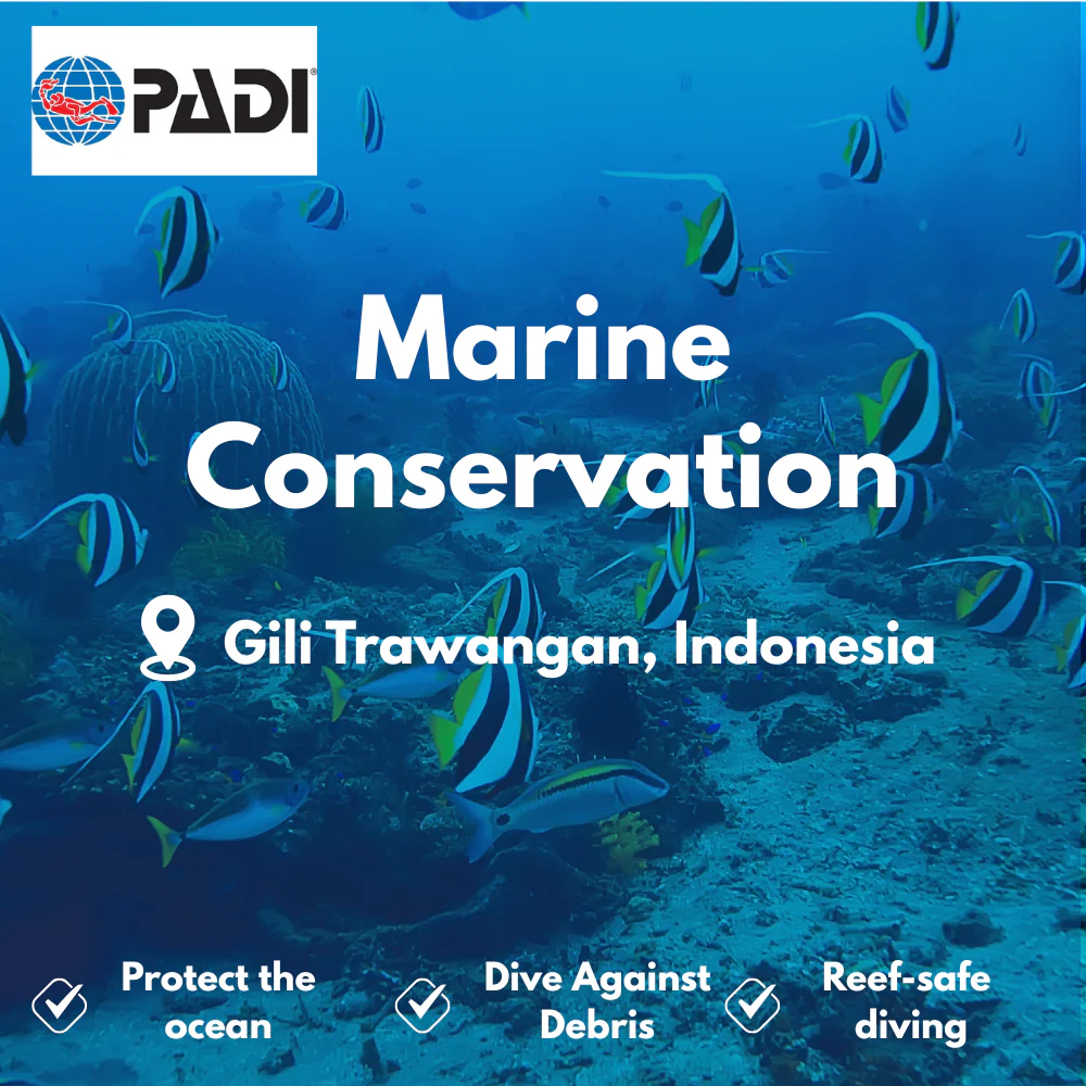 PADI Conservation & AWARE course in Gili Trawangan