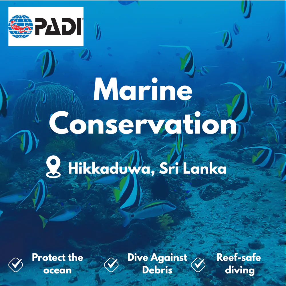 PADI Conservation & AWARE course in Hikkaduwa