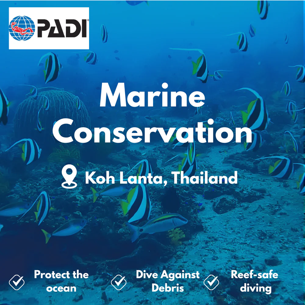 PADI Conservation & AWARE course in Koh Lanta