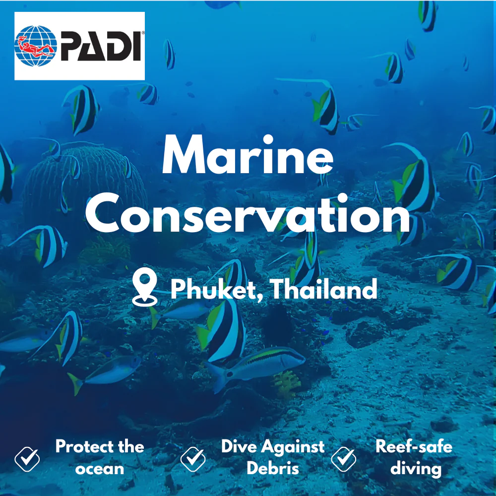 PADI Conservation & AWARE course in Phuket