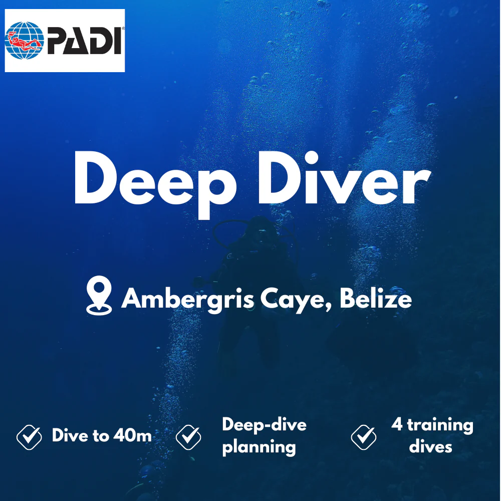 PADI Deep Diver course in Ambergris Caye