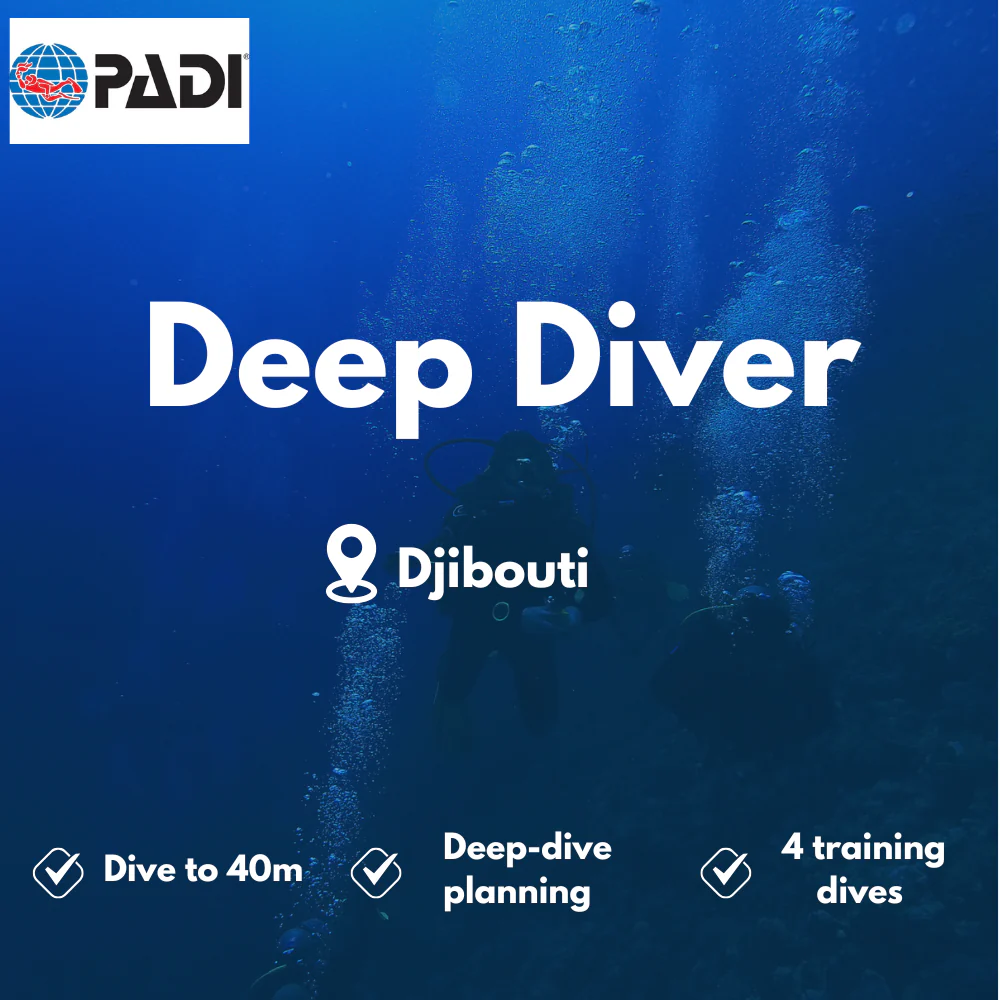 PADI Deep Diver course in Djibouti