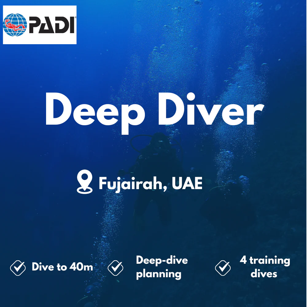 PADI Deep Diver course in Fujairah