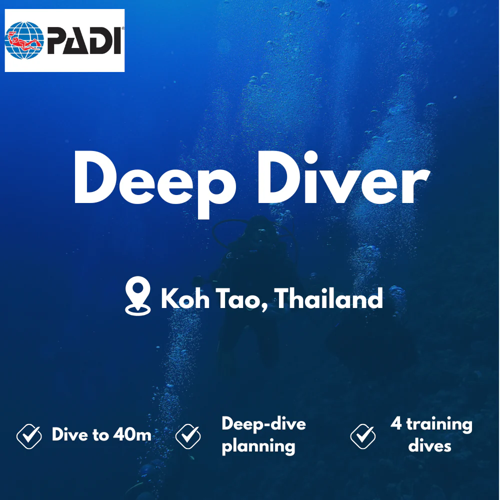 PADI Deep Diver course in Koh Tao