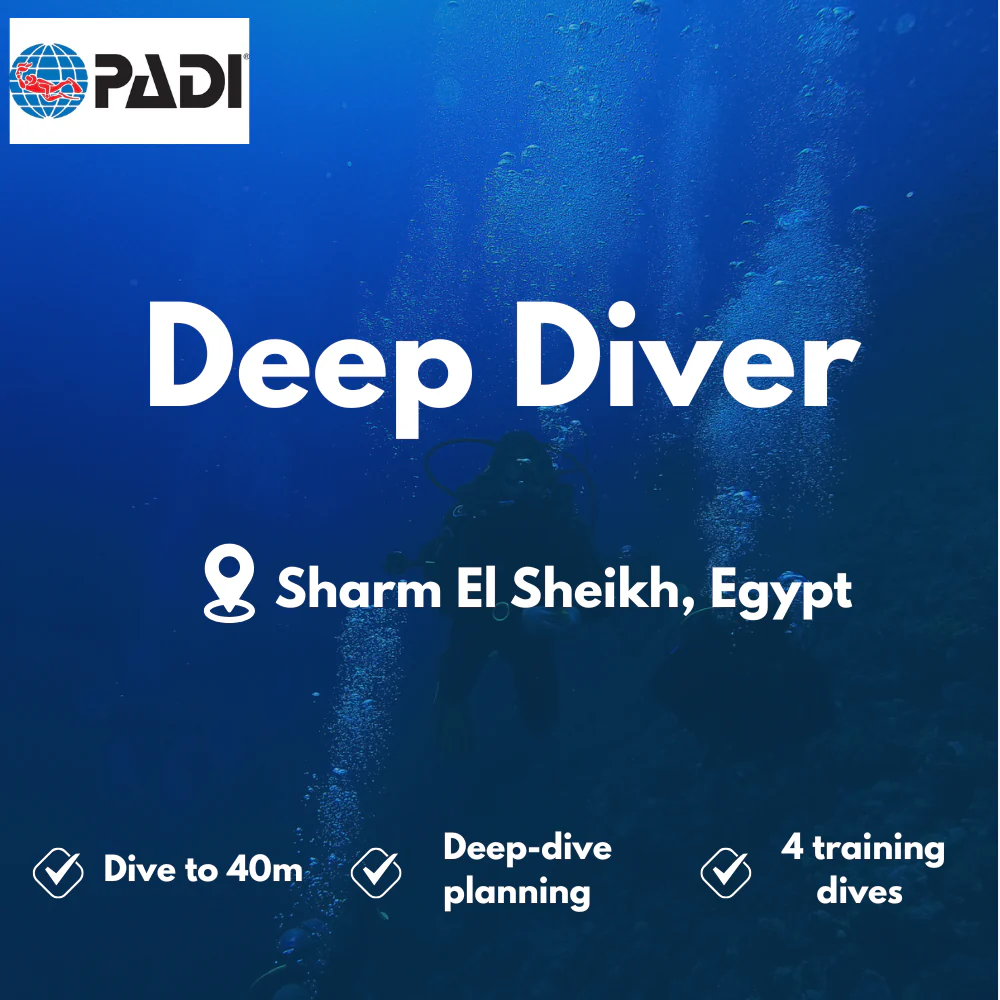 PADI Deep Diver course in Sharm El Sheikh