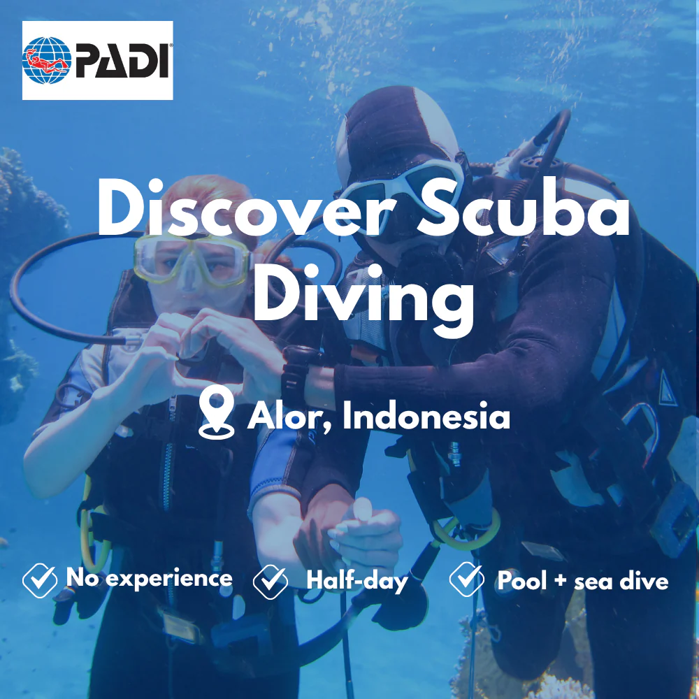 PADI Discover Scuba course in Alor