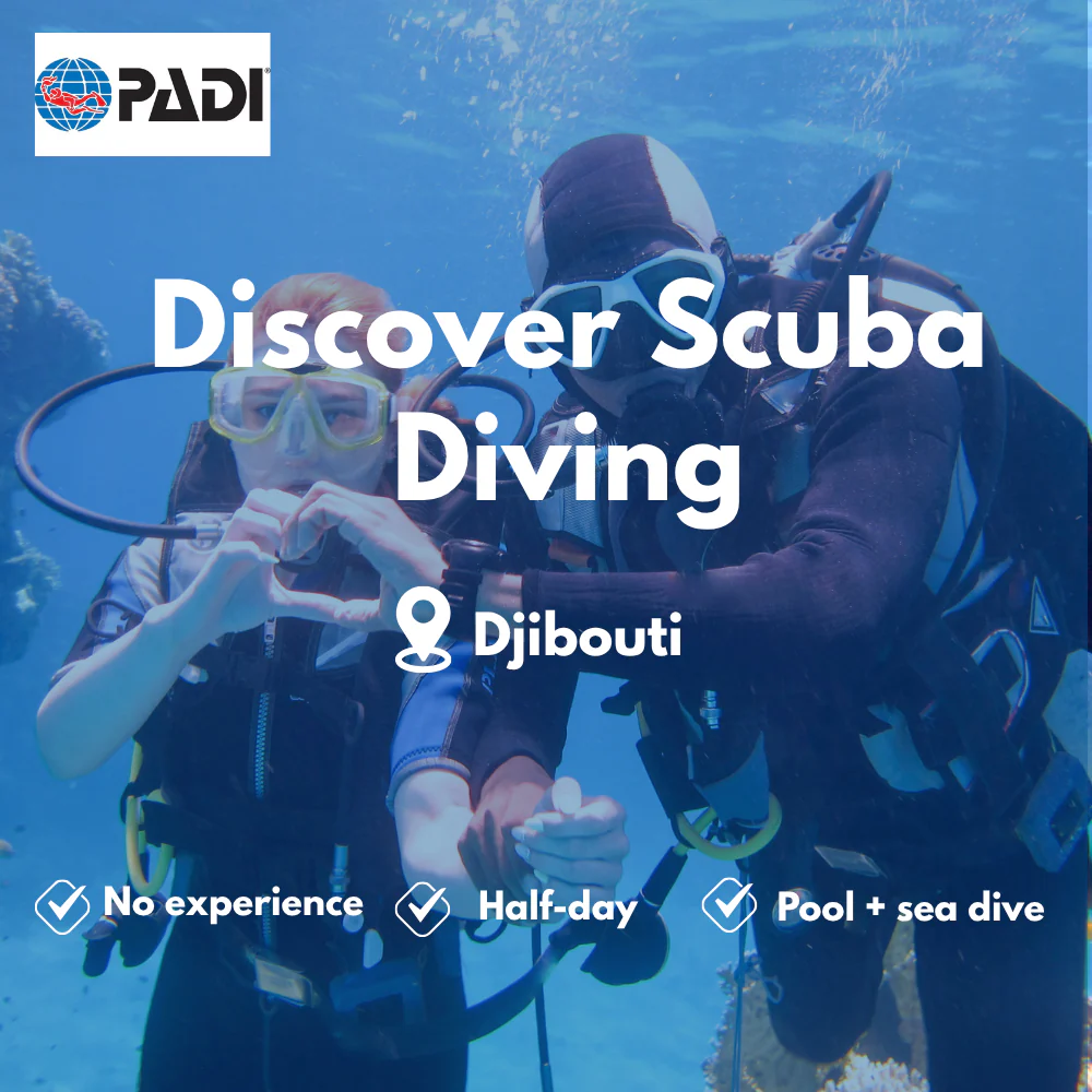 PADI Discover Scuba course in Djibouti