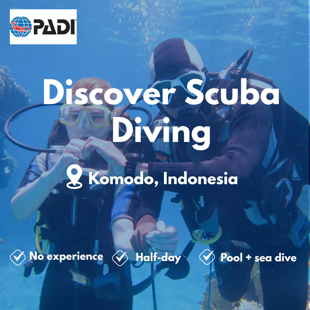PADI Discover Scuba course in Komodo