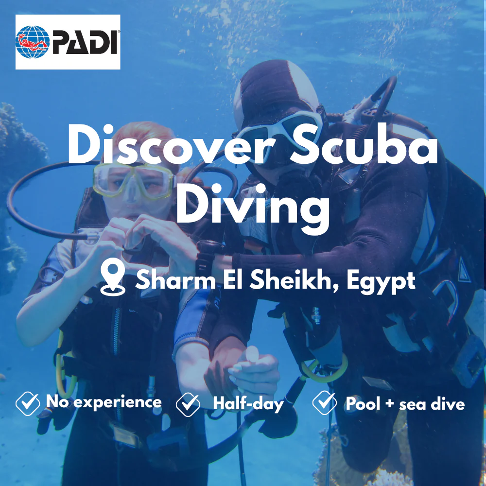PADI Discover Scuba course in Sharm El Sheikh