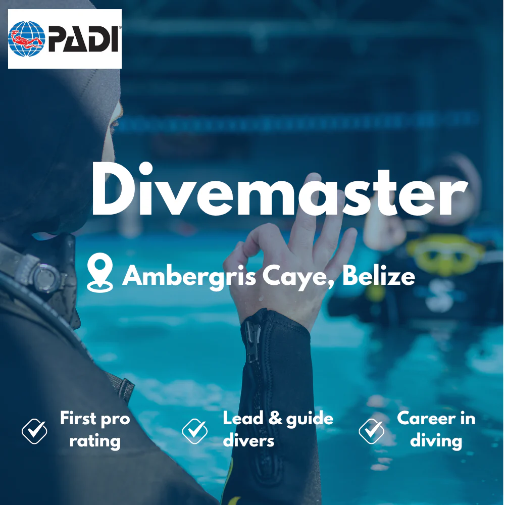 PADI Divemaster course in Ambergris Caye