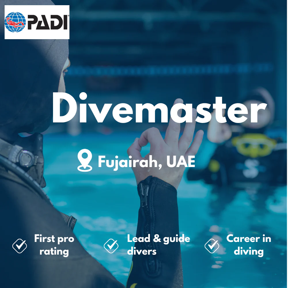 PADI Divemaster course in Fujairah