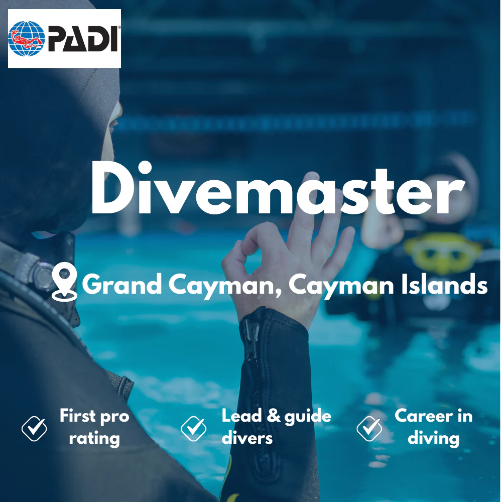 PADI Divemaster course in Grand Cayman