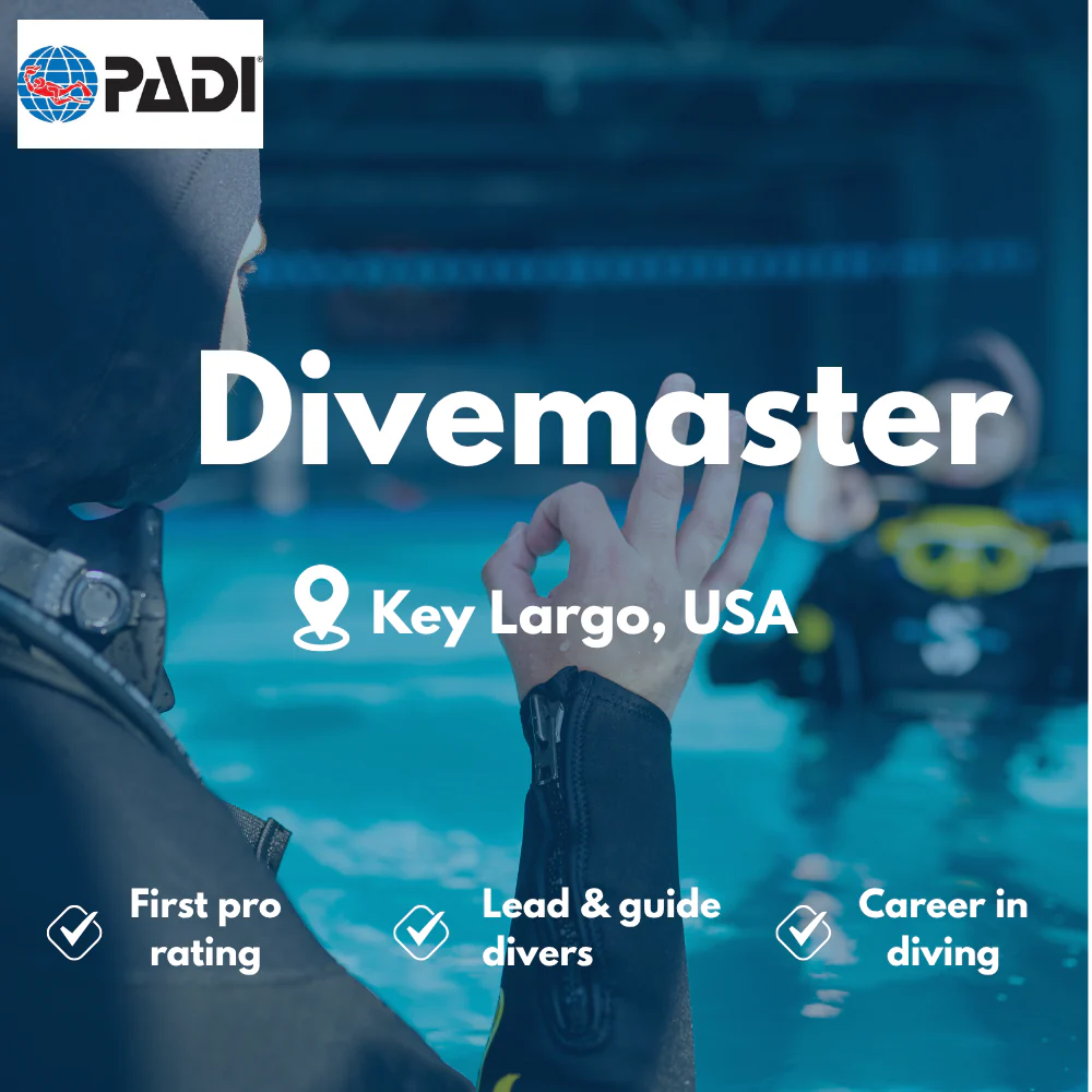 PADI Divemaster course in Key Largo