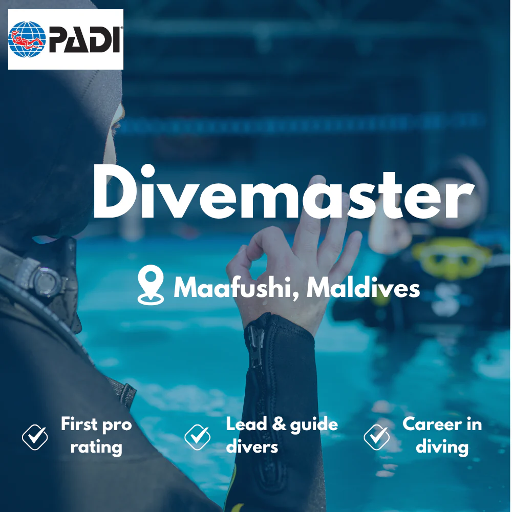 PADI Divemaster course in Maafushi