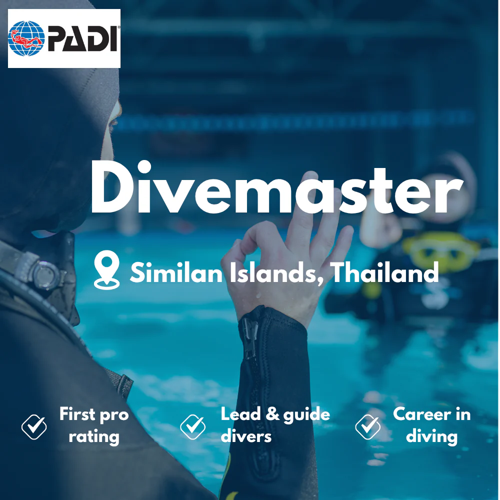 PADI Divemaster course in Similan Islands