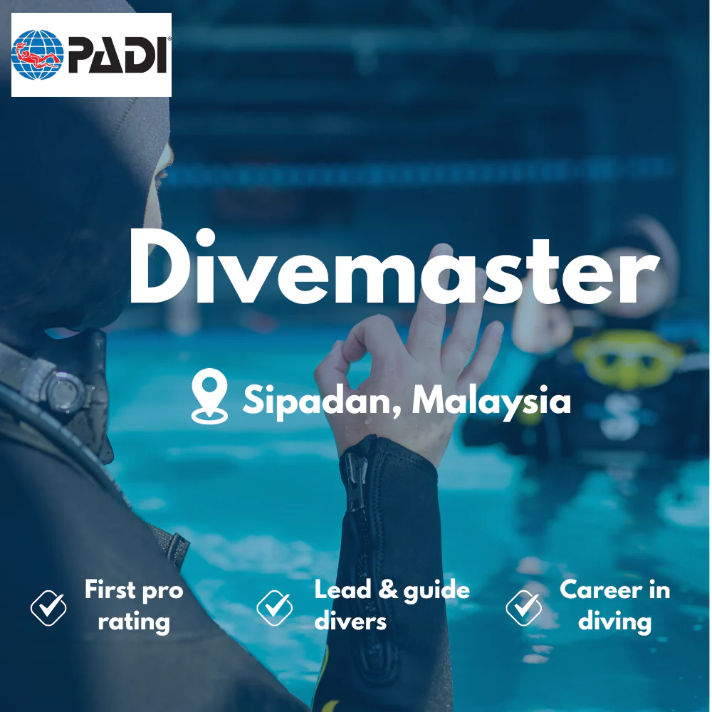 PADI Divemaster course in Sipadan