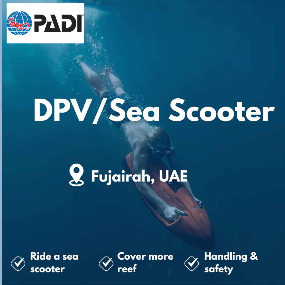 PADI Diver Propulsion Vehicle course in Fujairah